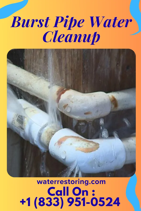 Burst Pipe Water Cleanup in Spring Lake Heights, NJ