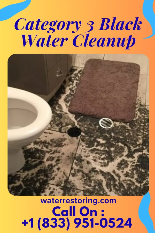 Category 3 Black Water Cleanup in Spring Lake Heights, NJ