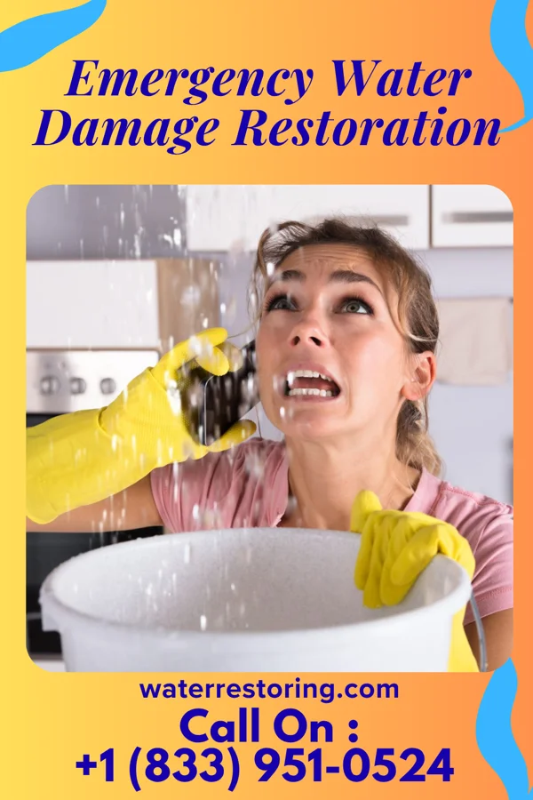 Emergency Water Damage Restoration in Spring Lake Heights, NJ