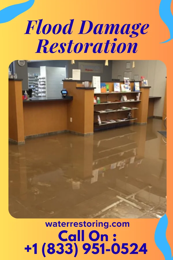 Flood Damage Restoration in Spring Lake Heights, NJ