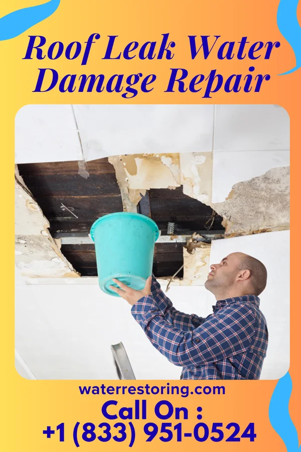 Roof Leak Water Damage Repair in Spring Lake Heights, NJ