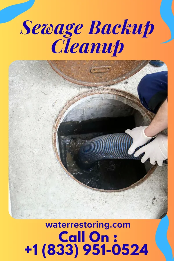 Sewage Backup Cleanup in Spring Lake Heights, NJ