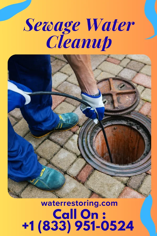 Sewage Water Cleanup in Spring Lake Heights, NJ