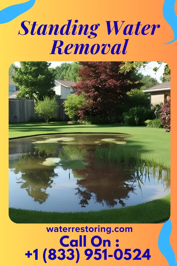 Standing Water Removal in Spring Lake Heights, NJ
